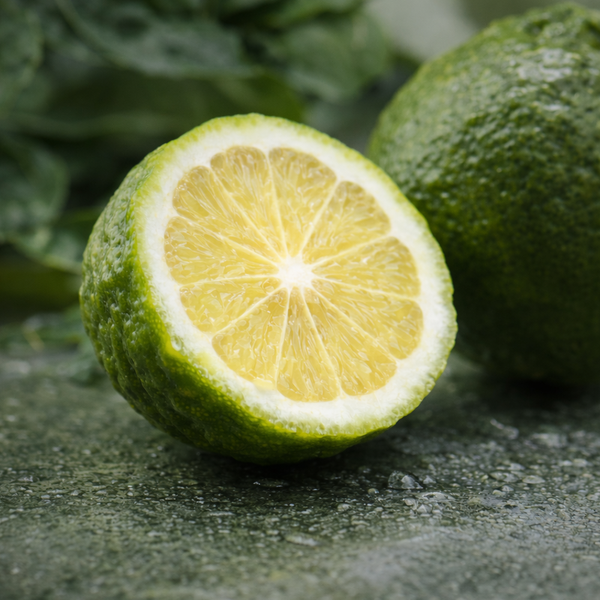 Fresh Bergamot Citrus